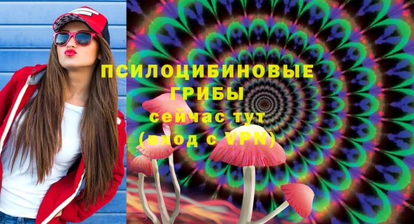 синтетический гашиш Алексеевка
