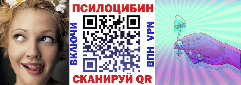 Псилоцибиновые грибы прущие грибы  где продают наркотики  Юрьевец 